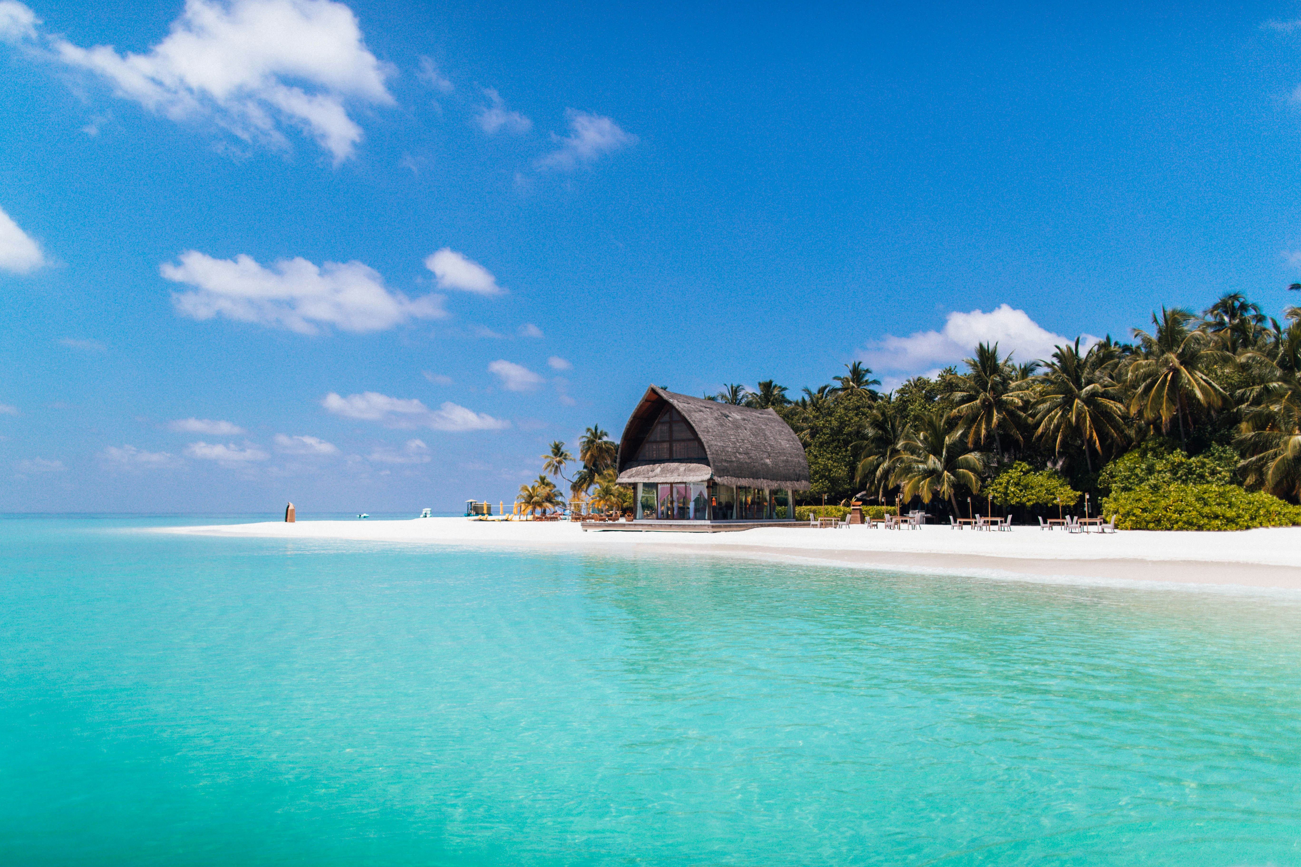 Beautiful Nassau beach with palm trees and turquoise waters